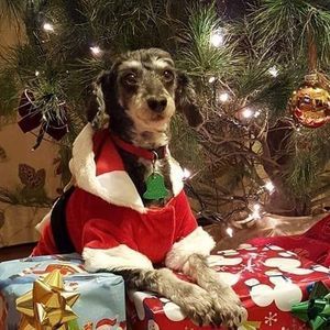 Meet your Posher, Katrina